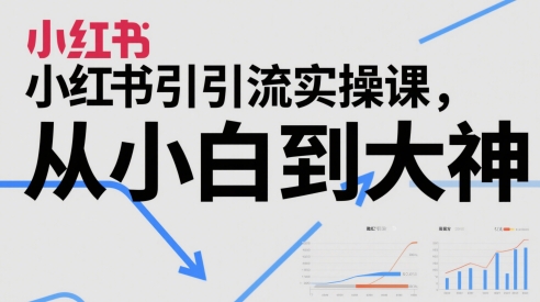 小红书引流实操课，从小白到大神-沐羽项目网