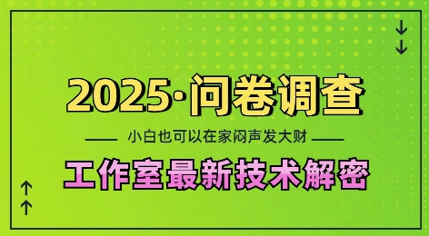 2025问卷调查最新工作室技术解密：一个人在家也可以闷声发大财，小白一天2张，可矩阵放大【揭秘】-沐羽项目网