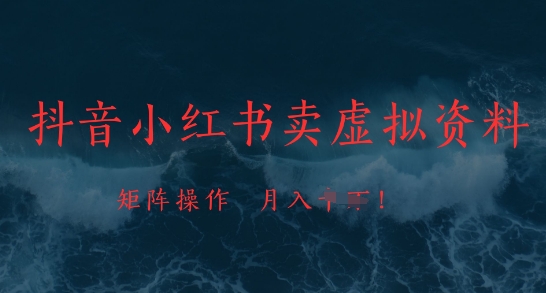 抖音小红书卖虚拟资料，市场需求一直存在，矩阵操作，月入1w+-沐羽项目网