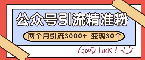 公众号精准粉引流玩法，2个月3000+精准粉，变现30个W【揭秘】-沐羽项目网