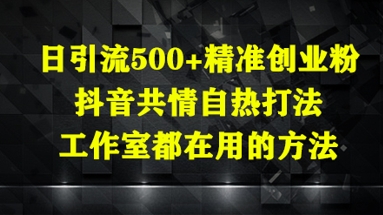 日引流500+精准创业粉，抖音共情自热打法，工作室都在用的方法-沐羽项目网