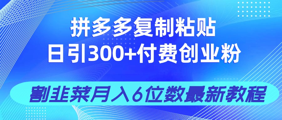 拼多多复制粘贴日引300+付费创业粉，割韭菜月入6位数最新教程！-沐羽项目网