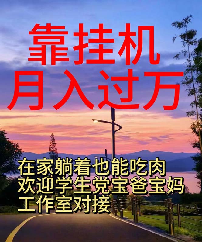 靠挂机，日入1000+，躺着也能吃肉，适合宝爸宝妈学生党工作室，电脑手…-沐羽项目网