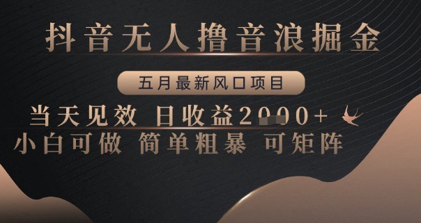 抖音无人撸音浪掘金，五月最新风口项目，当天见效，日收益多张，小白可做简单粗暴可矩阵【揭秘】-沐羽项目网