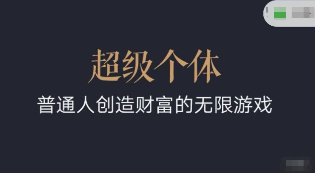 超级个体2024-2025翻盘指南，普通人创造财富的无限游戏-沐羽项目网