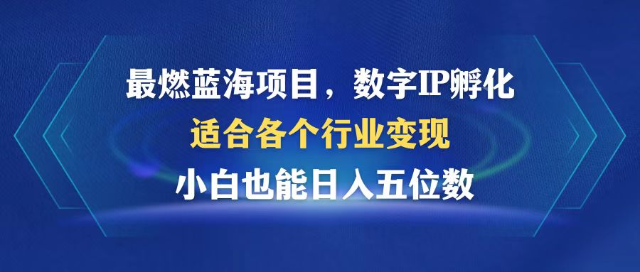最燃蓝海项目  数字IP孵化  适合各个行业变现  小白也能日入5位数-沐羽项目网
