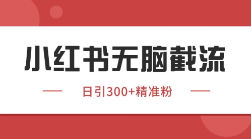 小红书只要你有同行就能获客，独家野路子获客玩法，暴力截流【揭秘】-沐羽项目网