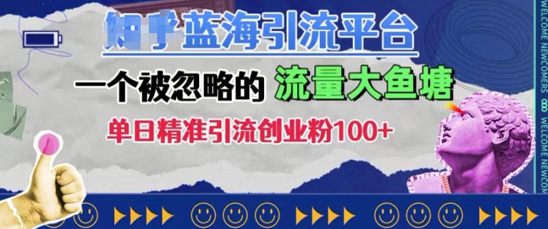 豆瓣蓝海引流平台，一个被忽略的流量大鱼塘，单日精准引流创业粉100+-沐羽项目网