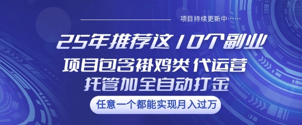 25年推荐这10个副业项目包含褂鸡类、代运营托管类、全自动打金类【揭秘】-沐羽项目网