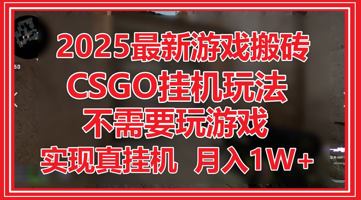 2025最新游戏搬砖，CSGO挂机，不需要玩游戏，实现真挂机，月入1W+-沐羽项目网