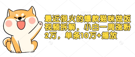 最近很火的爆款猫咪做饭视频拆解，小白一周涨粉2万，单条10万+播放(附保姆级教程)-沐羽项目网