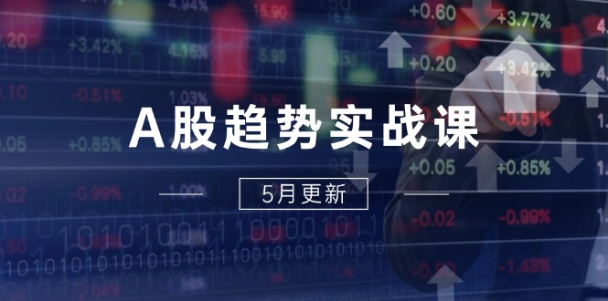 A股趋势实战课：主力动向+政策红利，2025全年策略5月更新-沐羽项目网