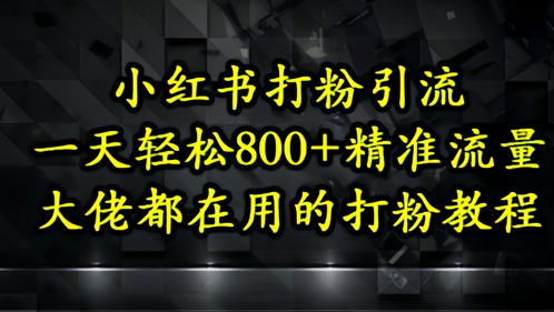 小红书打粉引流，一天轻松500+精准流量，大佬都在用的打粉教程-沐羽项目网