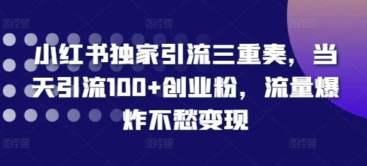 小红书独家引流三重奏，当天引流100+创业粉，流量爆炸不愁变现【揭秘】-沐羽项目网