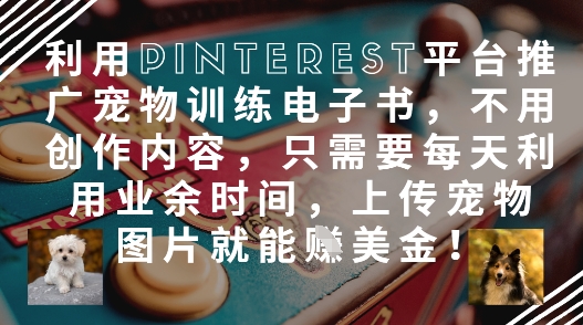 利用Pinterest平台推广宠物训练电子书，不用创作内容，只需要每天利用业余时间，上传宠物图片就能挣美金!-沐羽项目网