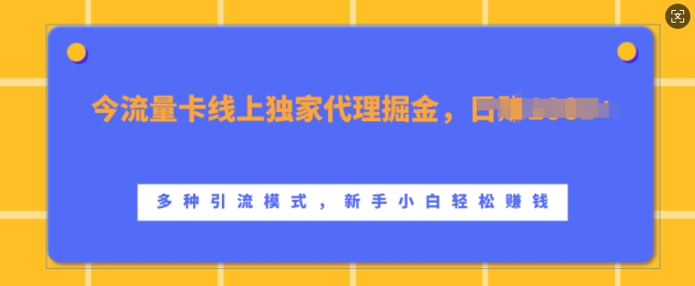 流量卡线上独家代理掘金，日入1k+ ，多种引流模式，新手小白轻松上手【揭秘】-沐羽项目网