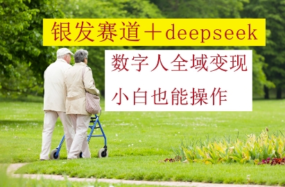 银发赛道+deepseek数字人全域变现，小白也能操作-沐羽项目网