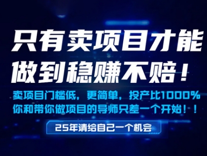 只有卖项目才能做到稳挣不赔，门槛低，更简单，你也可以年入百个W【揭秘】-沐羽项目网