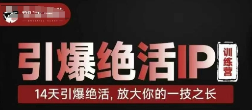 引爆绝活IP训练营，14天引爆绝活，放大你的一技之长-沐羽项目网