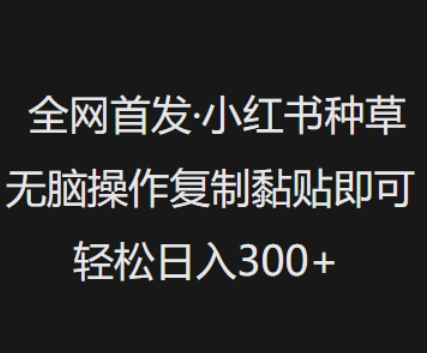 全网首发，小红书种草无脑操作，复制黏贴即可，轻松日入3张-沐羽项目网