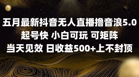 2025五月最新无人直播撸音浪单日产出5张+实操教程【揭秘】-沐羽项目网