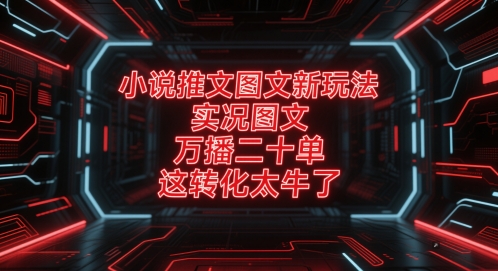 小说推文图文新玩法，实况图文，万播二十单，这转化太牛了！-沐羽项目网