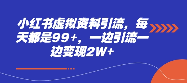 小红书虚拟资料引流，每天都是99+，一边引流一边变现2W+-沐羽项目网