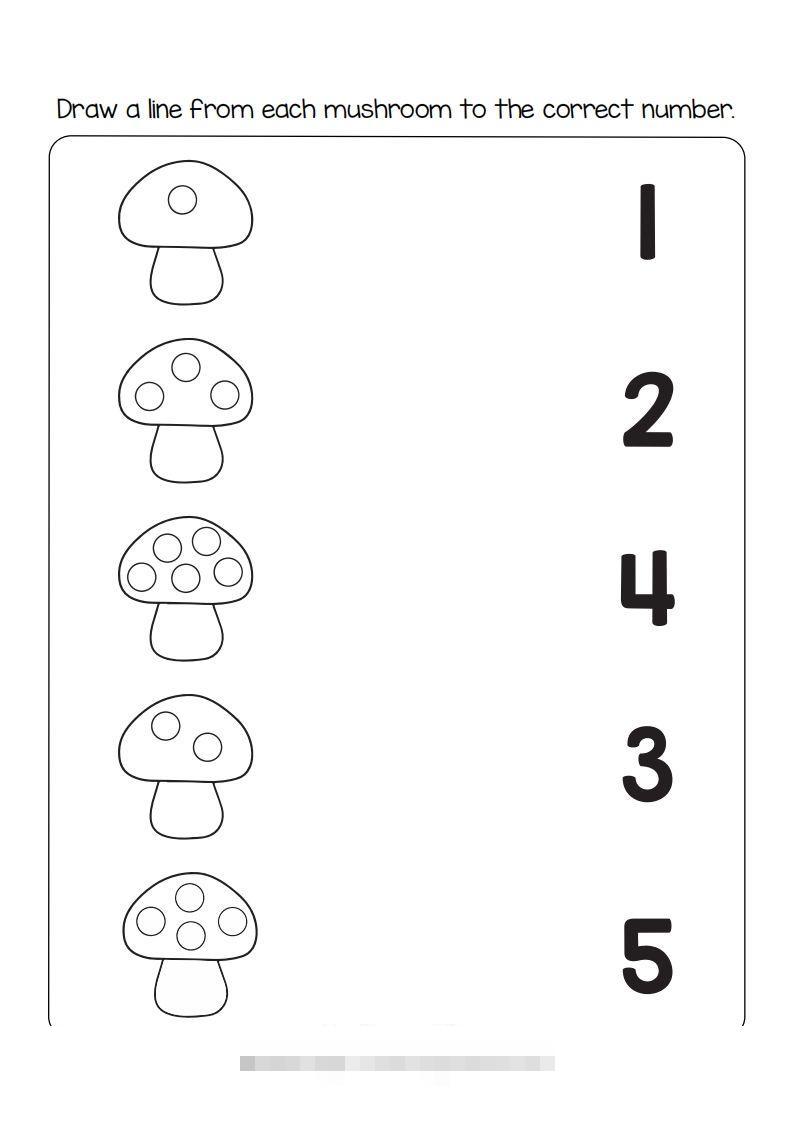 【数学】数学综合-沐羽项目网