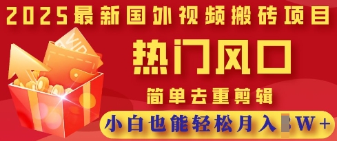 2025最新视频搬砖项目，热门风口，简单去重剪辑，小白也能轻松月入过W-沐羽项目网
