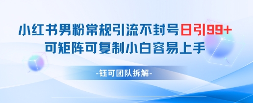 小红书男粉常规引流不封号日引99+变现简单 可矩阵可复制小白容易上手-沐羽项目网