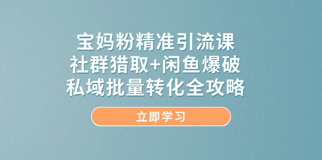 宝妈粉精准引流课，社群猎取+闲鱼爆破，私域批量转化全攻略-沐羽项目网