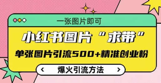 小红书图片‘求带’爆火引流法，单张图片引流500+精准创业粉【揭秘】-沐羽项目网