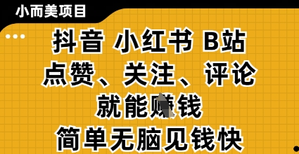 小而美的项目，抖音小红书B站视频点赞、关注、评论就能挣钱，简单无脑立见收益，妥妥的零撸项目【揭秘】-沐羽项目网