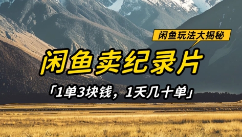 闲鱼卖纪录片1单3块钱，1天几十单，项目稳定有潜力-沐羽项目网