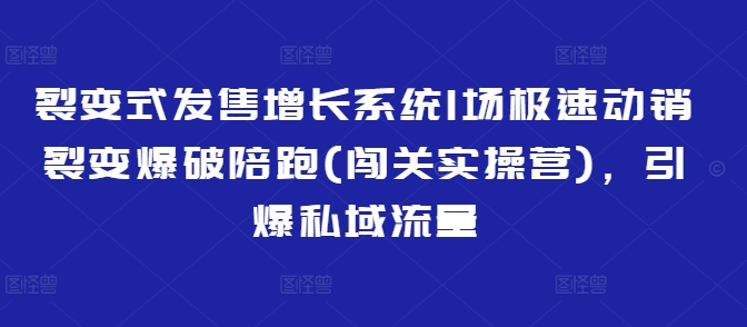 裂变式发售增长系统1场极速动销裂变爆破陪跑(闯关实操营)，引爆私域流量-沐羽项目网