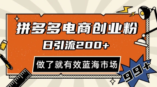 拼多多引流电商创业粉，日引200+，可矩阵放大，做了就有效【揭秘】-沐羽项目网