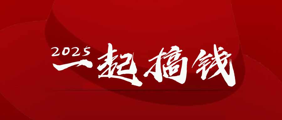 2025年，请“不择手段”去搞钱!-沐羽项目网