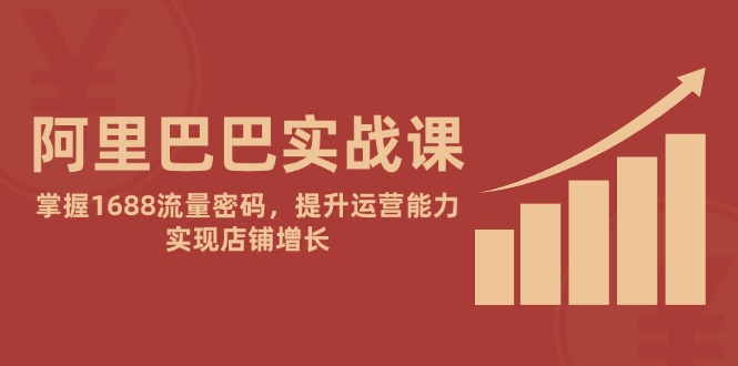 阿里巴巴实战课：掌握1688流量密码，提升运营能力，实现店铺增长-沐羽项目网